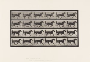 Trotting; Sulky; Sorrel Mare, Flode Holden (Plate 608)