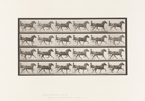 Trotting; Sulky; Bay Mare, Lizzie M. (Plate 609) by Eadweard Muybridge