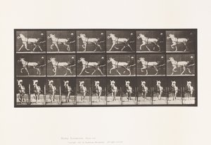 Plate 610. Trotting; Sulky; Gray Mare, Katydid