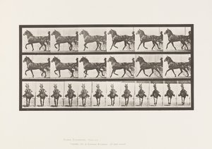 Trotting; Sulky; Bay Horse, Dereumd (Plate 612)