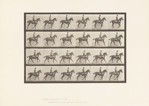 Canter; Saddle; Bay Horse Daisy (Plate 616) by Eadweard Muybridge
