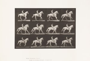 Plate 617. Canter; Bareback; Rider, 106, Nude; White Horse Clinton, 1885 by Eadweard Muybridge