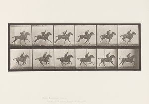 Gallop; Saddle; Bay Horse Daisy (Plate 624)
