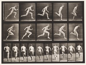Plate 63. Running at Full Speed by Eadweard Muybridge