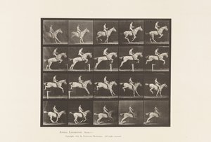 Plate 642. Jumping a Hurdle; Saddle; Rider, 105, Nude; Gray Mare, 1885