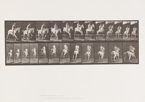 Plate 647. Jumping a Hurdle; Bareback; Rider by Eadweard Muybridge