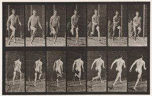 Plate 66. Running by Eadweard Muybridge