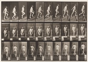 Plate 90. Ascending Stairs by Eadweard Muybridge
