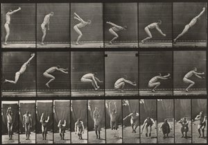 Plate Number 163. Jumping, Standing Broad Jump by Eadweard Muybridge