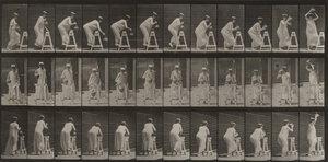 Plate Number 216. Bending to Fill a Water Jar, Placing it on Head by Eadweard Muybridge