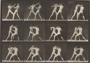 Plate Number 340. Boxing, open hand by Eadweard Muybridge