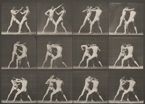 Plate Number 340. Boxing, Open Hand by Eadweard Muybridge