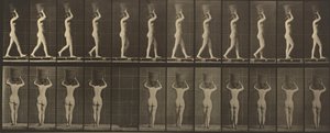 Plate Number 34. Walking and carrying a 15-lb. basket on head, hands raised by Eadweard Muybridge
