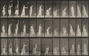 Plate Number 463. Reaching Up, Stooping and Turning Around by Eadweard Muybridge