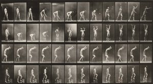 Plate Number 488. A: Lawn tennis. B: Dumbbells. C: Walking on hands. D: Ascending stairs by Eadweard Muybridge