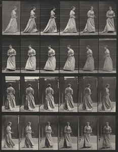 Plate Number 48. Walking and Turning Around with a Bouquet in Both Hands by Eadweard Muybridge
