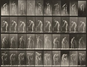 Plate Number 491. A, B: Hammering at an Anvil. C: Using a Hatchet. D: Sawing a Board by Eadweard Muybridge