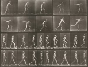 Plate Number 519. A: Throwing a disk. B: Ascending a step. C: Walking by Eadweard Muybridge
