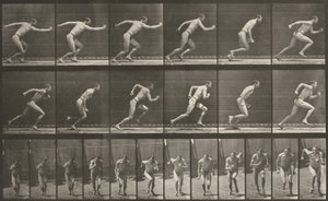 Plate Number 59. Starting for a Run by Eadweard Muybridge