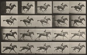 Plate Number 627. "Annie G." Galloping by Eadweard Muybridge