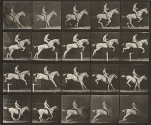 Plate Number 642. "Pandora" Jumping a Hurdle, Saddled; Rider Nude by Eadweard Muybridge