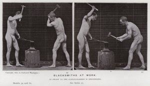 The Human Figure in Motion: Blacksmiths at Work by Eadweard Muybridge