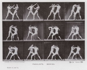 The Human Figure in Motion: Pugilists, Boxing by Eadweard Muybridge