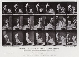 The Human Figure in Motion: Woman, a shock to the nervous system