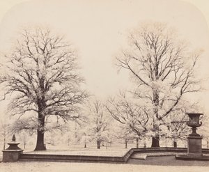 Hoarfrost, a Park Scene by Earl of Caithness James Sinclair
