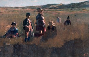 In the Field