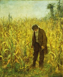 Man in a Cornfield