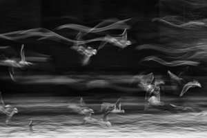The Boundary Between Reality and Fantasy by Ebrahim bakhtari bonab