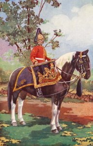 Drum Horse of the 7th Dragoon Guards