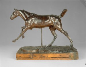 Horse Galloping on the Right Foot