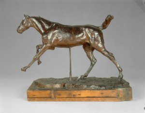 Horse Galloping on the Right Foot, late 1880s
