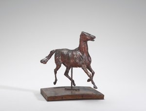 Horse Trotting, the Feet Not Touching the Ground