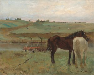 Horses in a Meadow, 1871 by Edgar Degas