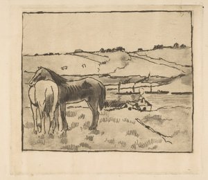 Horses in the Meadow