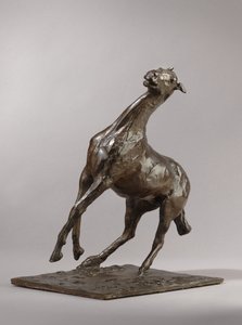 Rearing Horse