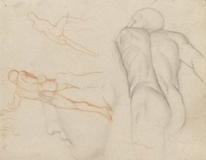 Studies of 