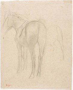 Studies of a Horse by Edgar Degas