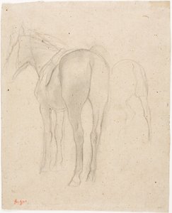 Studies of a Horse