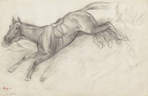 Study for 
