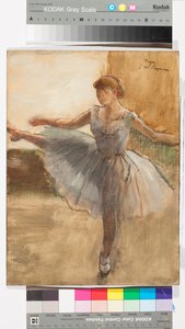 The Ballerina