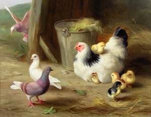 Farmyard Scene