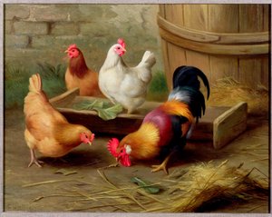 Farmyard Scene