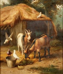Goats and doves in a farmyard