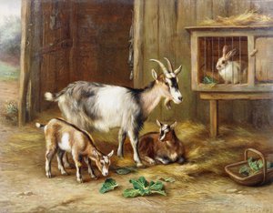 Goats by a Rabbit Hutch by Edgar Hunt