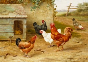 Poultry by Kennel
