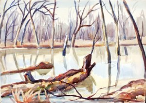 Rock Creek, Winter